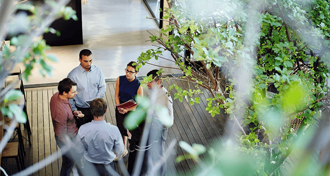 photograph through foliage of a group of colleagues standing in a green space in an office building
